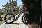 Civi Bikes Predator 500W Mountain Bike 