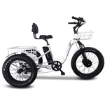 Emojo Caddy Pro Trike 500W Electric Cruiser Bike 