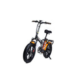 Greenbike Electric Motion Big Dog Extreme 250W Electric City Bike Black/gold 