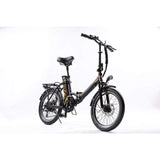 Greenbike Electric Motion Classic LS 350W 